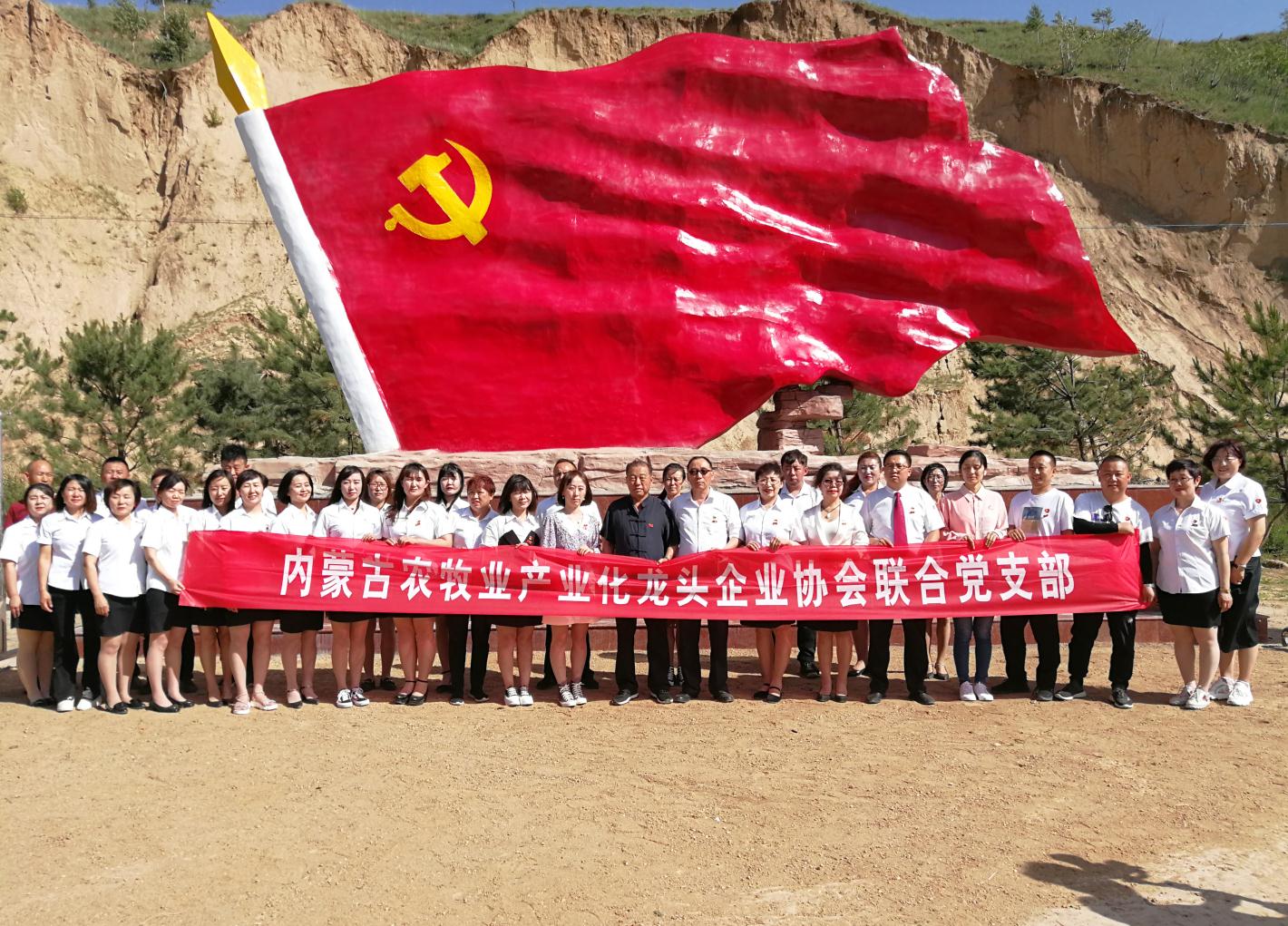 內(nèi)蒙古農(nóng)牧業(yè)產(chǎn)業(yè)化龍頭企業(yè)協(xié)會走進(jìn)石人灣村開展“辦實事、解難題，送溫暖，傳黨恩”公益活動